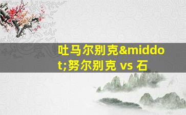 吐马尔别克·努尔别克 vs 石